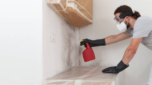 Professional Basement Mold Remediation technician working in Bryn Athyn, PA