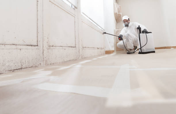 24/7 Emergency Basement Mold Remediation experts in Bryn Athyn, PA